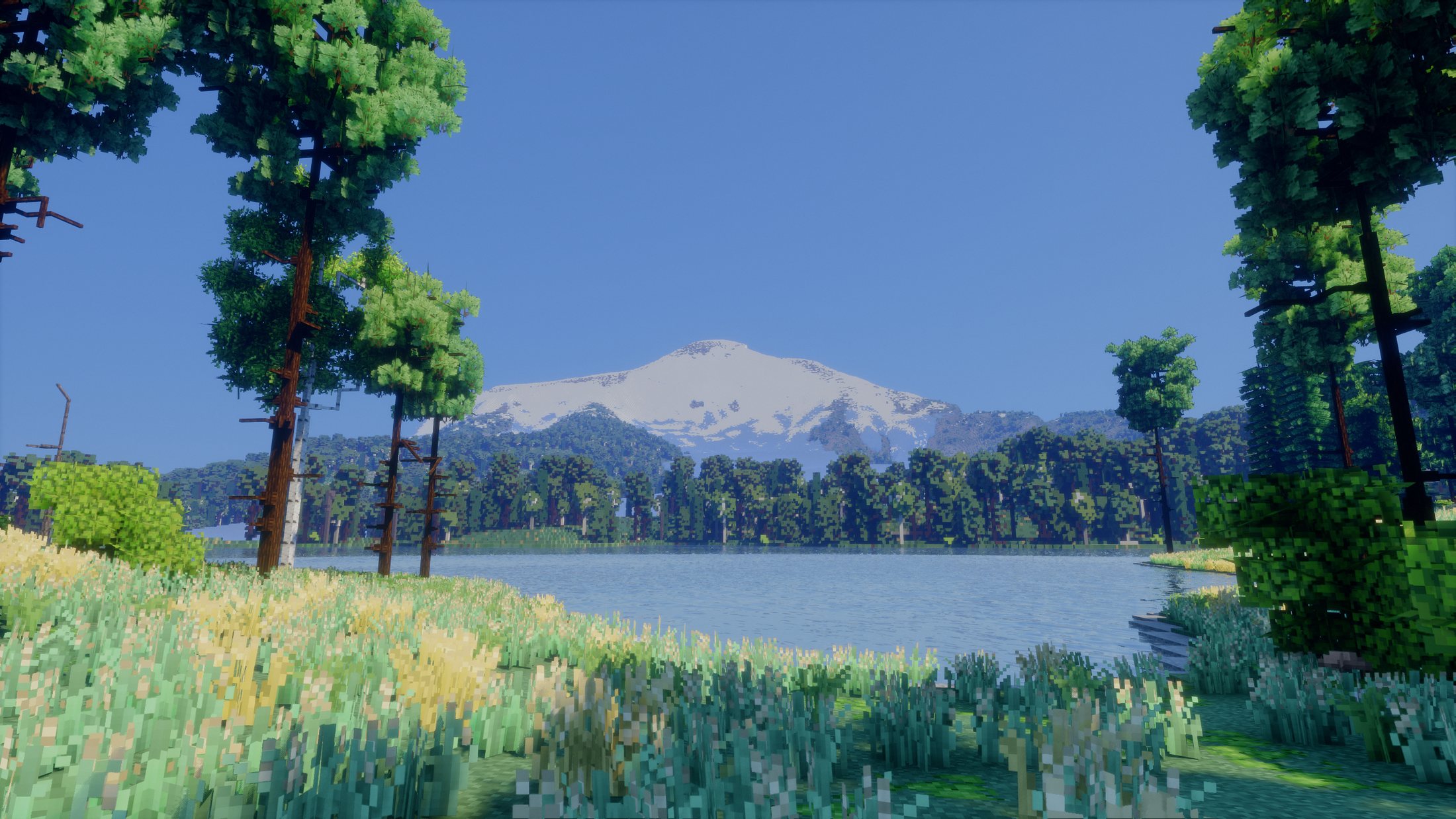 The Himalayas in an SRTG world